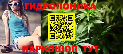 трава Тара